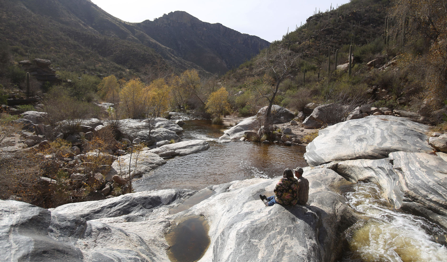 Sabino Canyon Recreation Area, Tucson